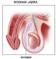 wodniaki jadra2